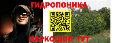 стафф Канаш
