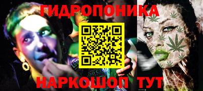 гашик Кандалакша