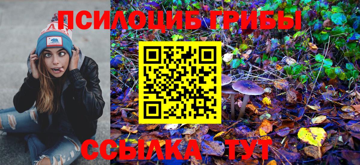 Псилоцибиновые грибы GOLDEN TEACHER Ухта